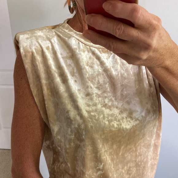 Beige Color Velvet Sleeveless Top - Picture 5 of 10